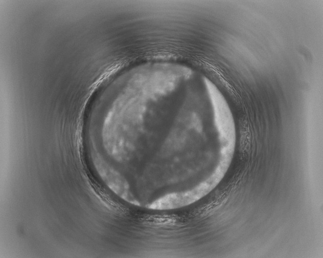 X0000115340443200912141243