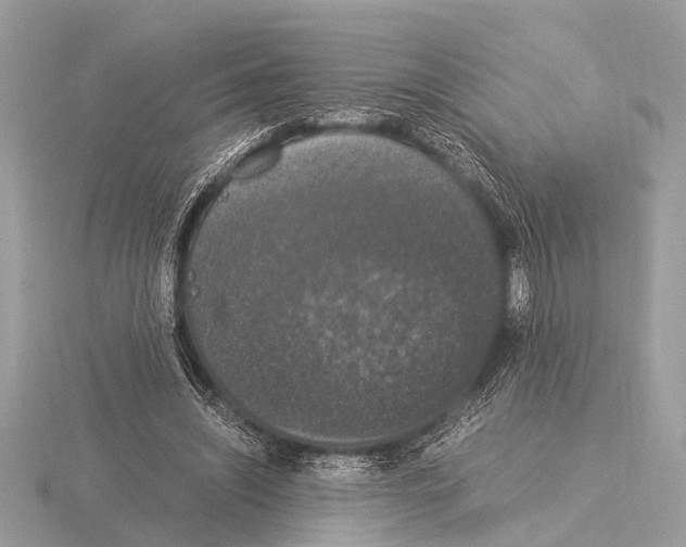 X0000115340444200912141243