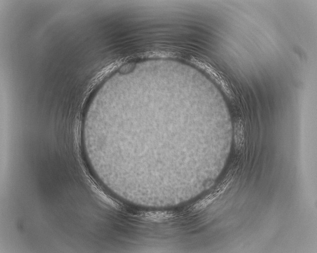 X0000115340445200912141243