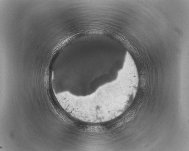 X0000115340446200912141243