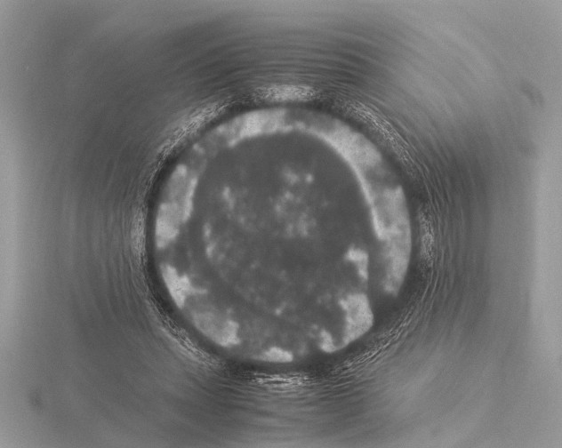 X0000115340447200912141243