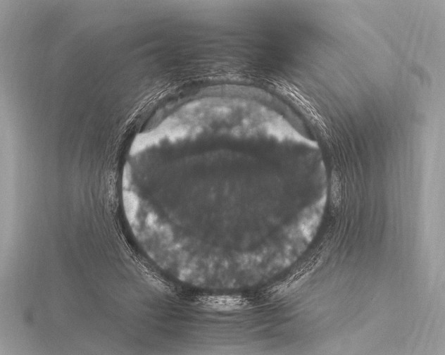 X0000115340449200912141243