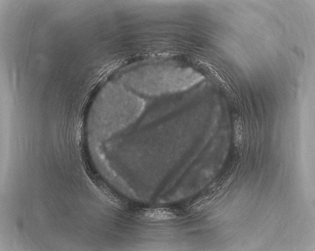 X0000115340451200912141243