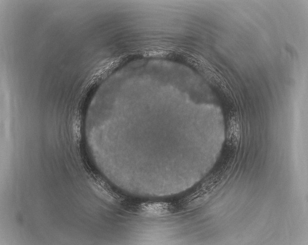 X0000115340452200912141243