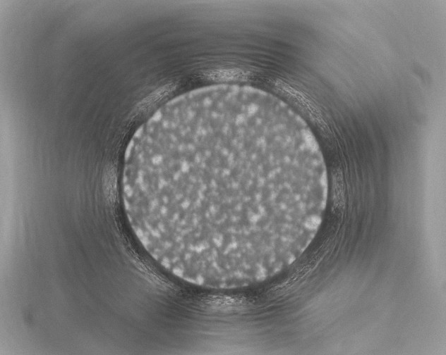 X0000115340453200912141243