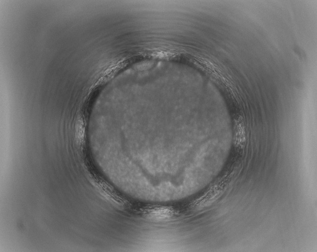 X0000115340456200912141243