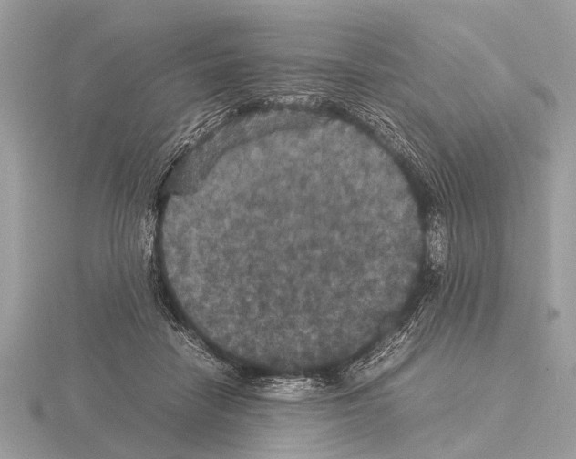 X0000115340458200912141243