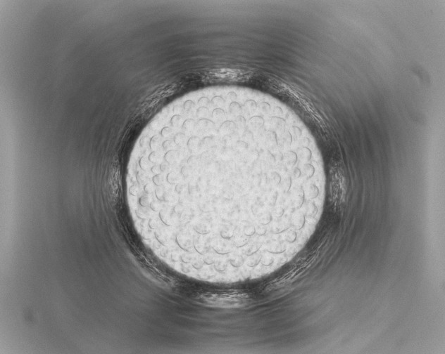 X0000115340459200912141243