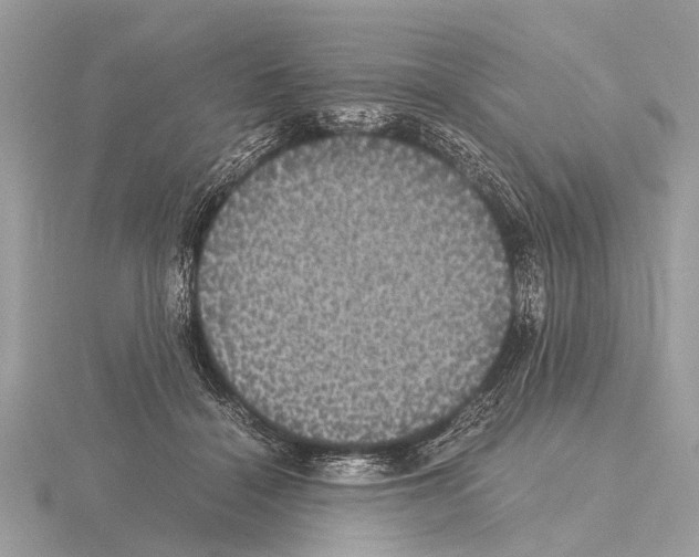 X0000115340460200912141243