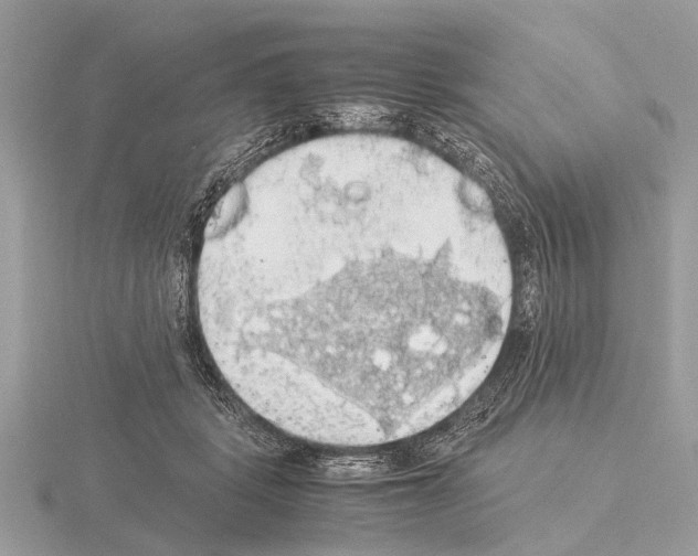 X0000115340461200912141243