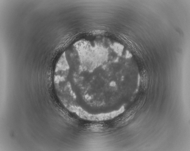 X0000115340462200912141243