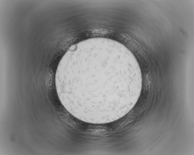 X0000115340463200912141243