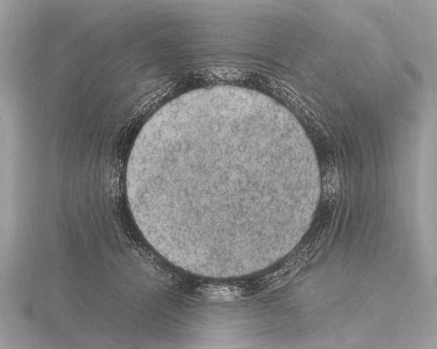 X0000115340464200912141243