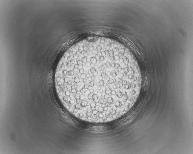 X0000115340466200912141243