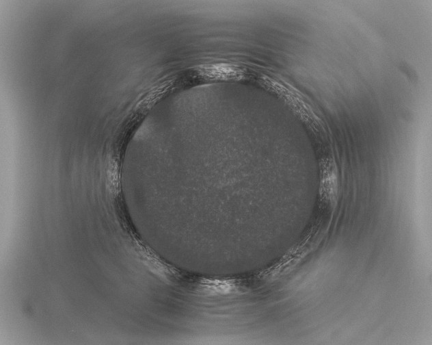 X0000115340469200912141243