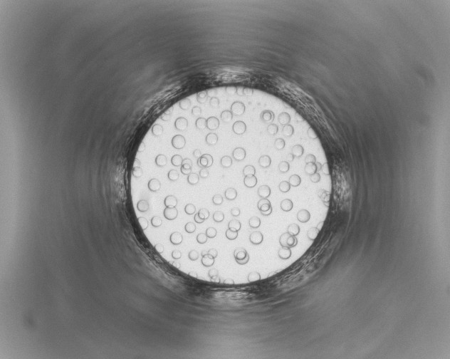 X0000115340470200912141243