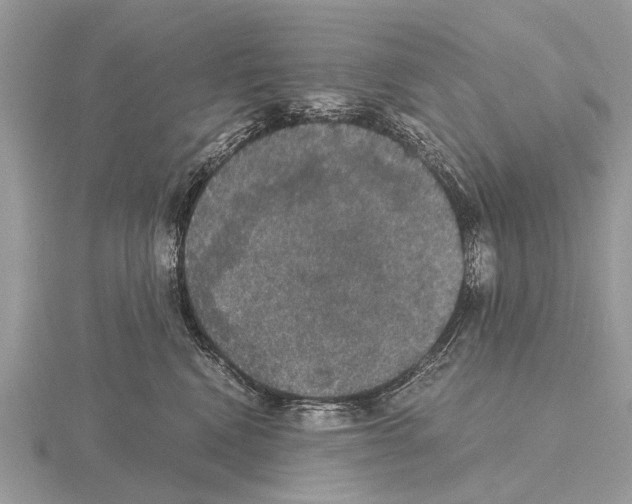 X0000115340472200912141243