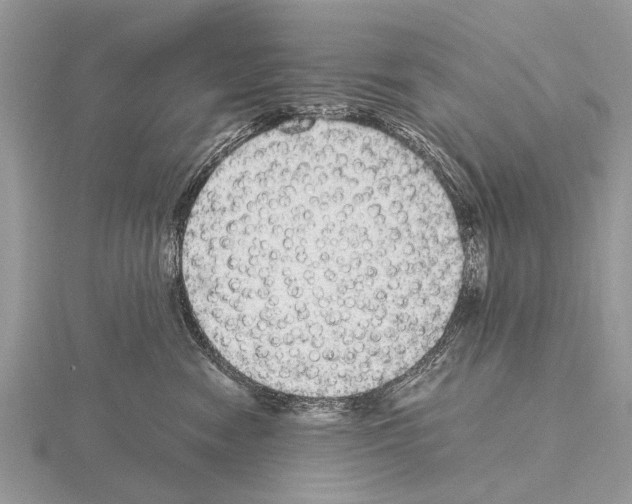 X0000115340474200912141243