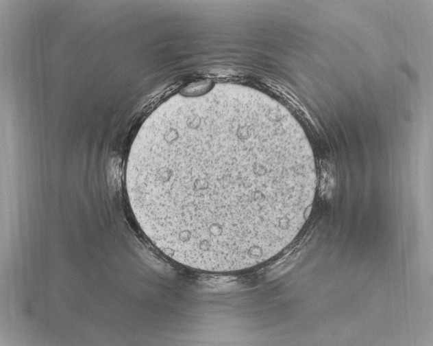 X0000115340476200912141243