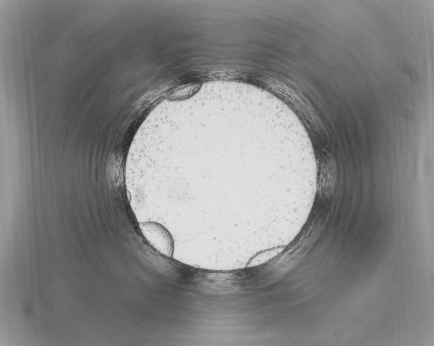 X0000115340478200912141243