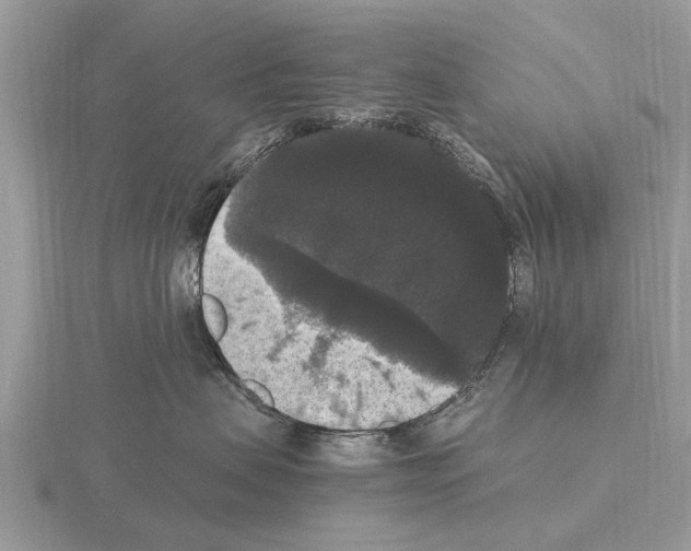 X0000115340479200912141243