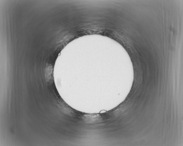 X0000115340480200912141243