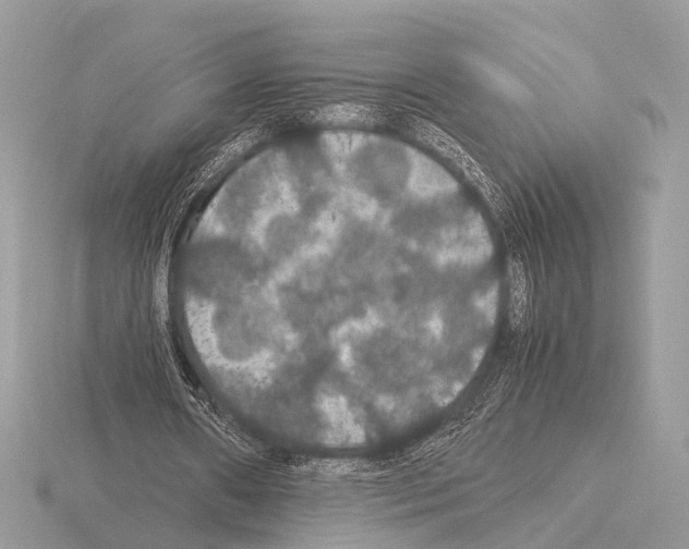 X0000115340482200912141243