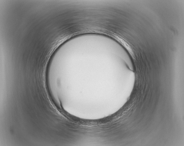 X0000115340485200912141243