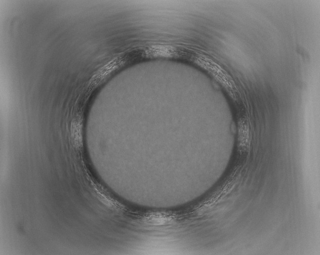 X0000115340489200912141242