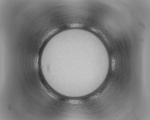 X0000115340490200912141242