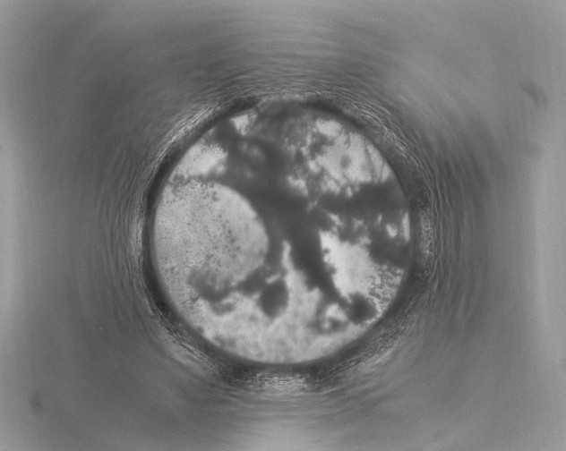 X0000115340491200912141242