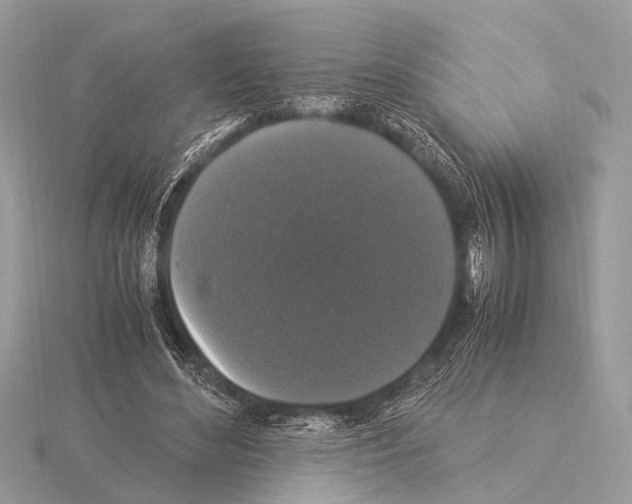 X0000115340492200912141242