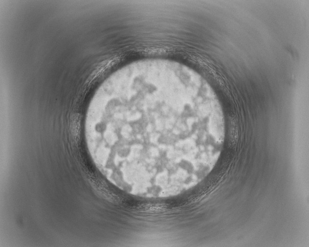 X0000115340495200912141242