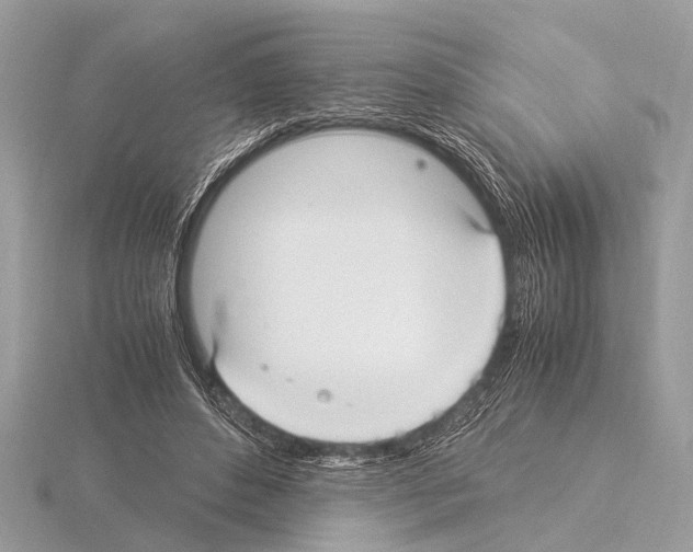 X0000115340496200912141242