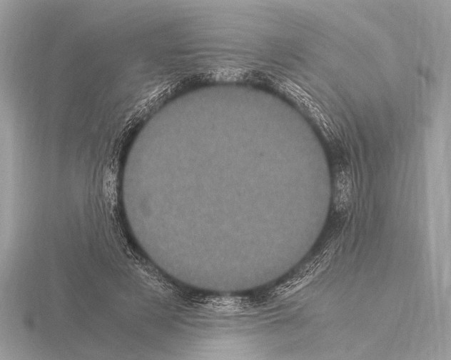 X0000115340497200912141242