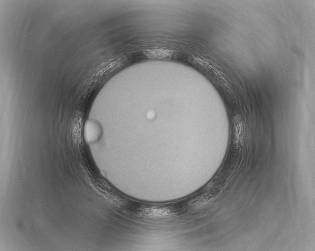 X0000115340498200912141242