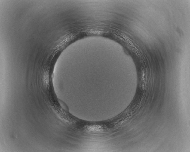 X0000115340500200912141242