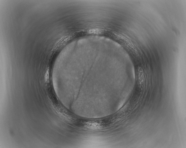 X0000115340502200912141242