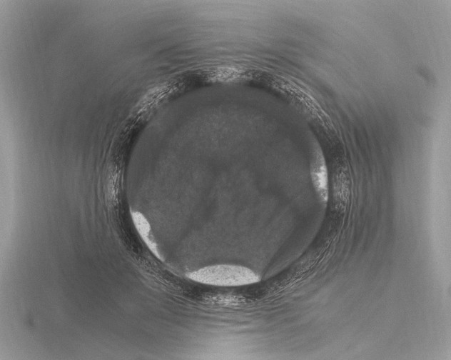 X0000115340503200912141242