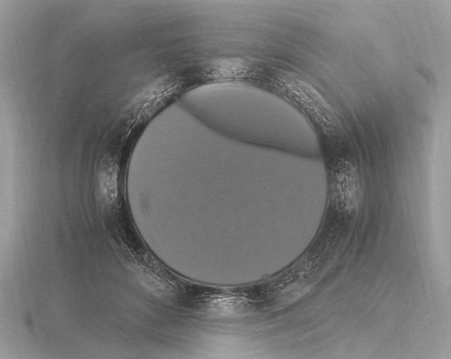 X0000115340504200912141242