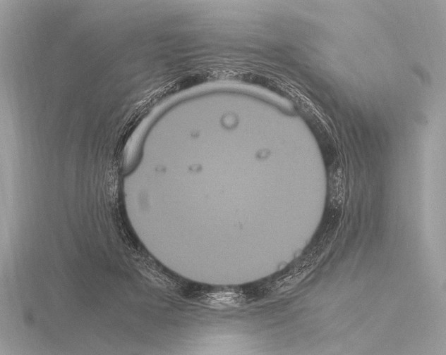 X0000115340505200912141242