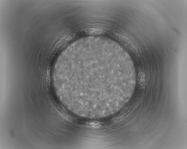 X0000115340506200912141242