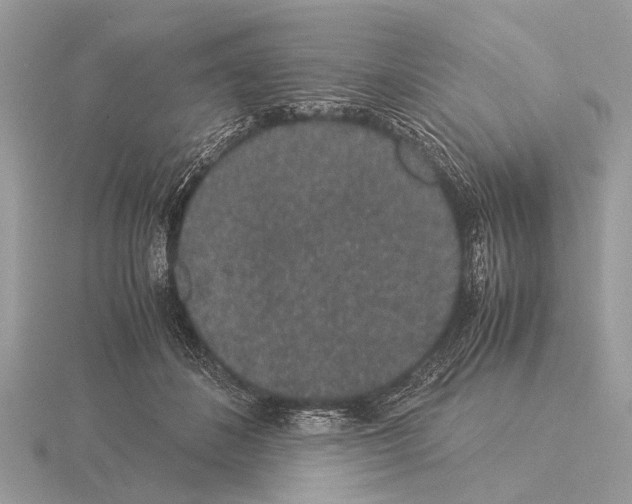 X0000115340508200912141242