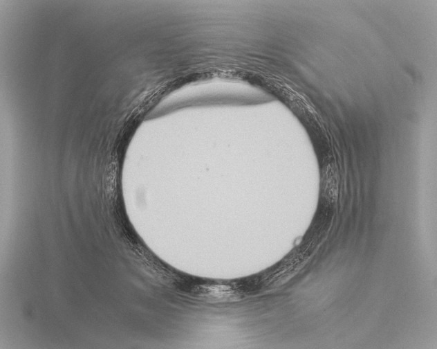 X0000115340509200912141242