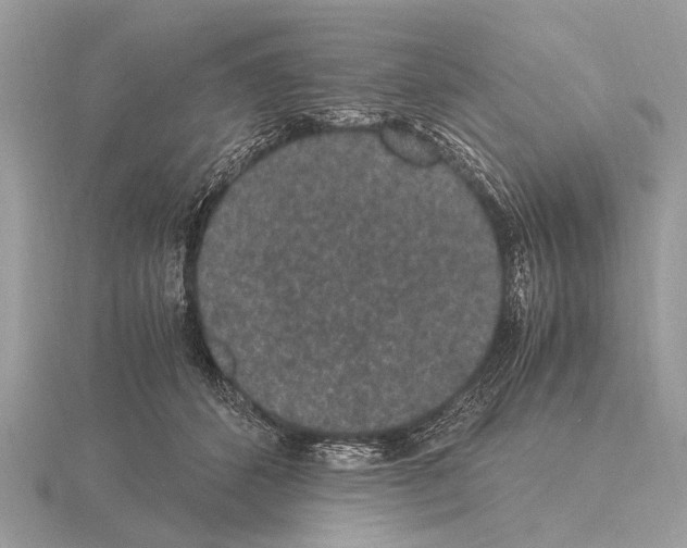 X0000115340512200912141242