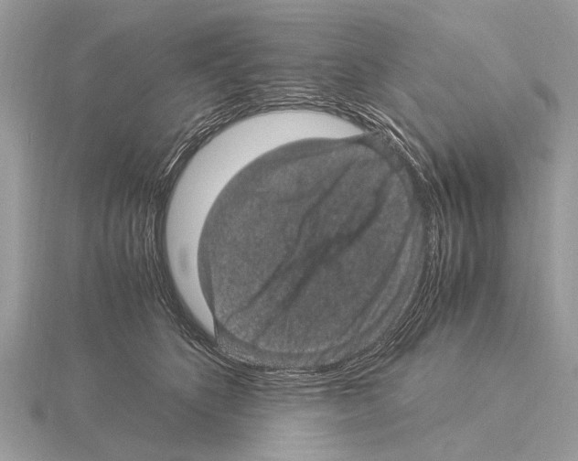 X0000115340516200912141242