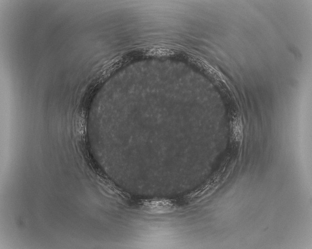 X0000115340517200912141242