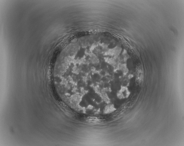 X0000115340519200912141242