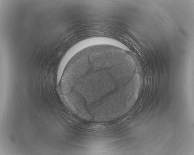 X0000115340520200912141242