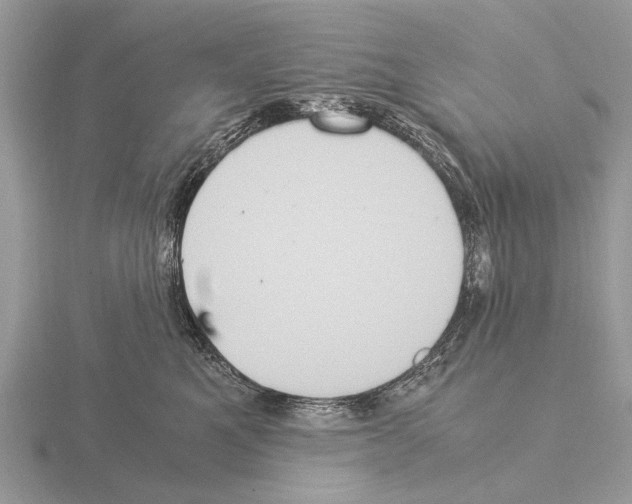 X0000115340521200912141242